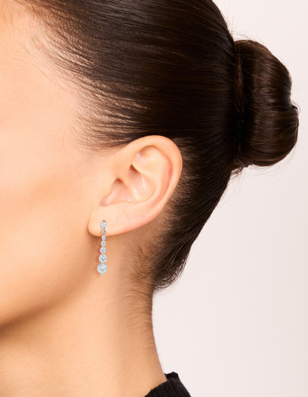 Small Graduated Crystal Drop Earrings