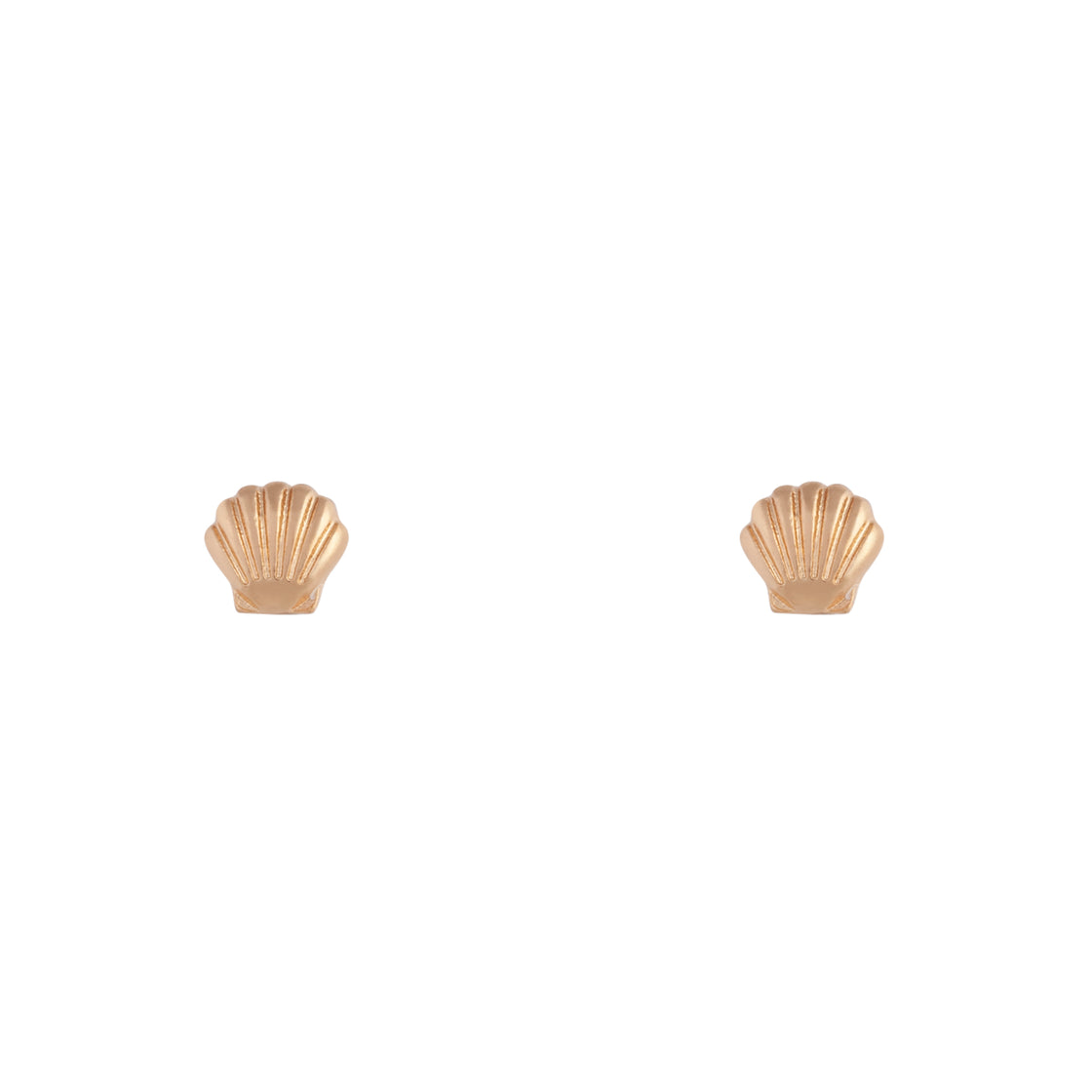Small Seashell Gold Stud Earrings