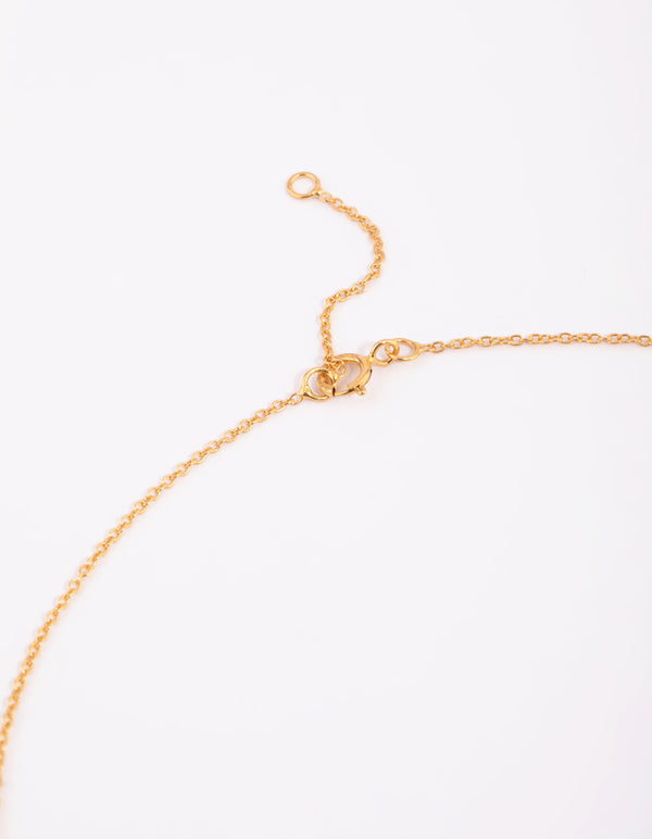 Gold Plated Sterling Silver Lariat Necklace