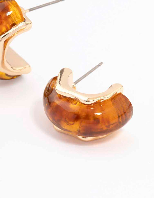 Gold Small Acrylic Hoop Earrings