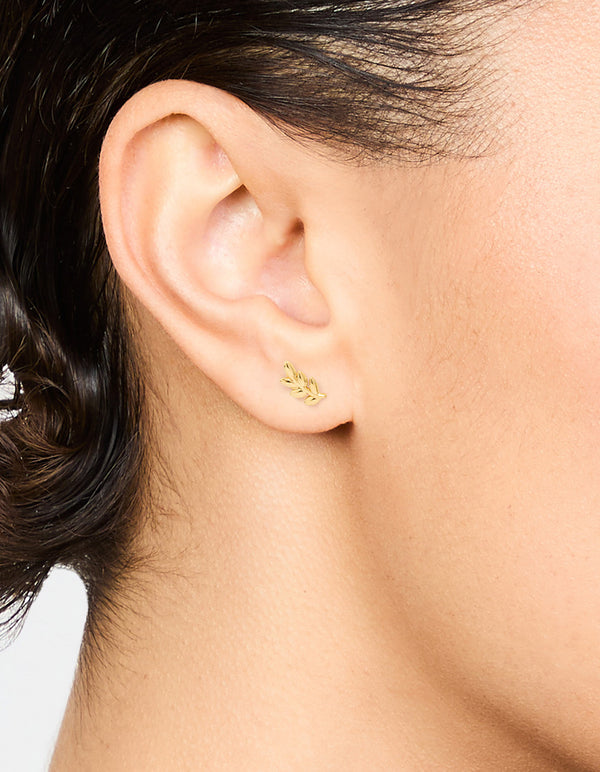 Gold Plated Surgical Steel Leaf Stud Earrings