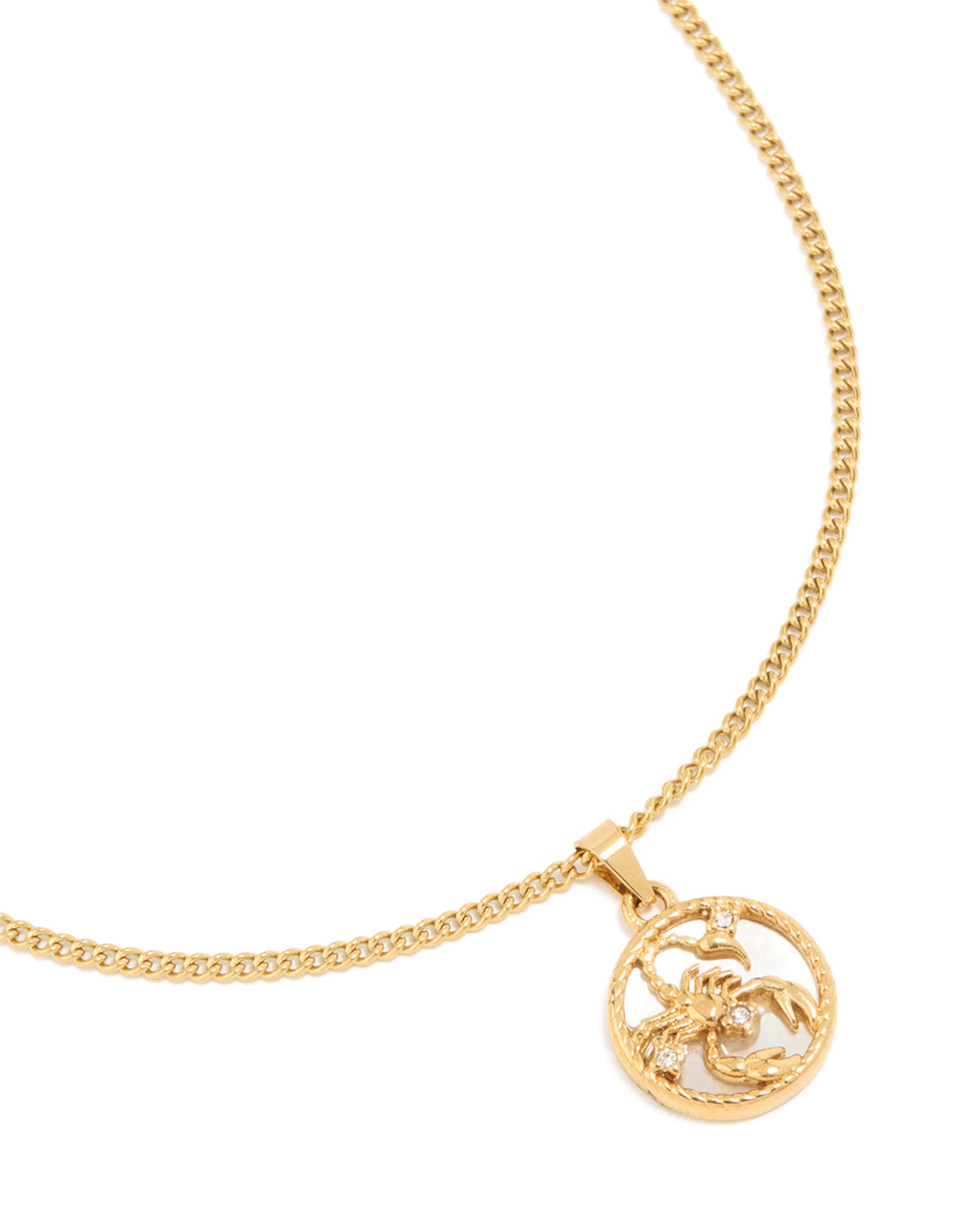 Waterproof Gold Plated Stainless Steel Circle Scorpio Zodiac Sign Necklace