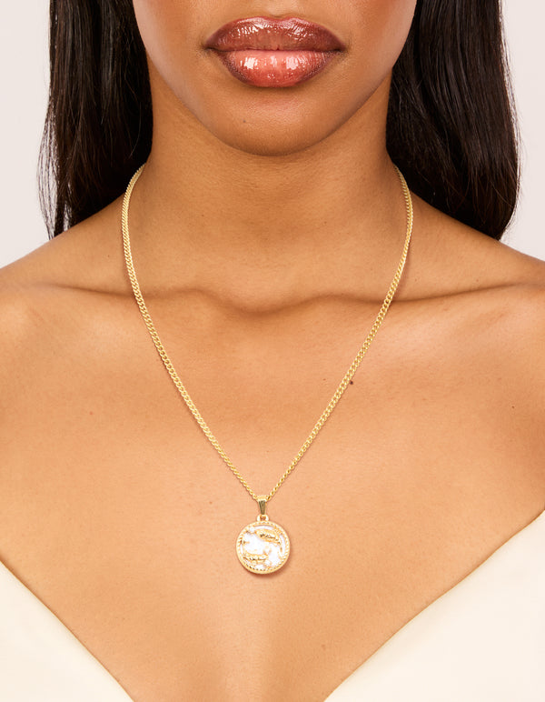 Featuring a waterproof gold plated stainless steel Pisces circle zodiac sign necklace with star sign elements on neck view