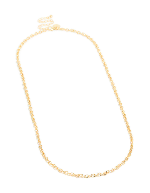 Presenting a gold plated rolo chain necklace front view