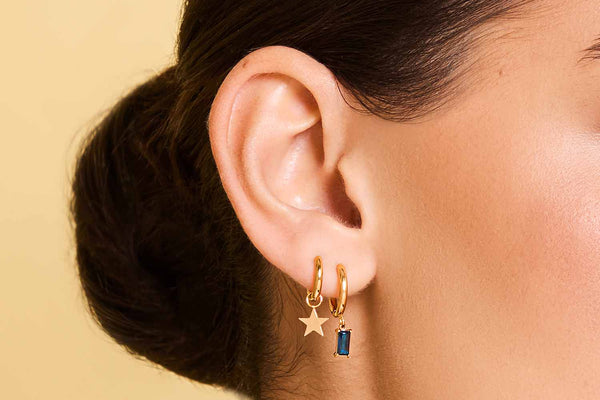 Text and image section