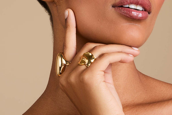 Text and image section