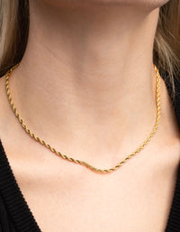 Gold Plated Stainless Steel Twisted Chain Necklace - link has visual effect only