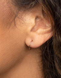 Rose Gold Plated Surgical Steel Sleeper Earrings - link has visual effect only