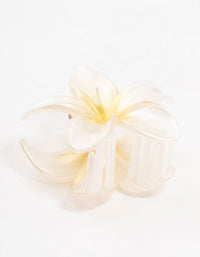 Frangipani Ombre Claw Clip - link has visual effect only