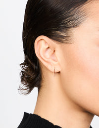 Rose Gold Plated Titanium Sleeper Earrings 16 mm - link has visual effect only