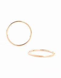 Rose Gold Plated Titanium Sleeper Earrings 16 mm - link has visual effect only