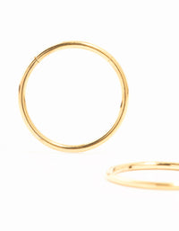 Gold Plated Titanium Sleeper Earrings 12 mm - link has visual effect only