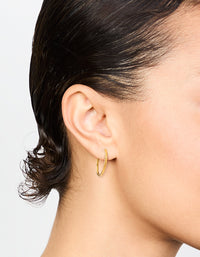 Gold Plated Surgical Steel Polished Hoop Earrings - link has visual effect only