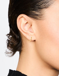 Gold Plated Surgical Steel Sleeper Earrings - link has visual effect only