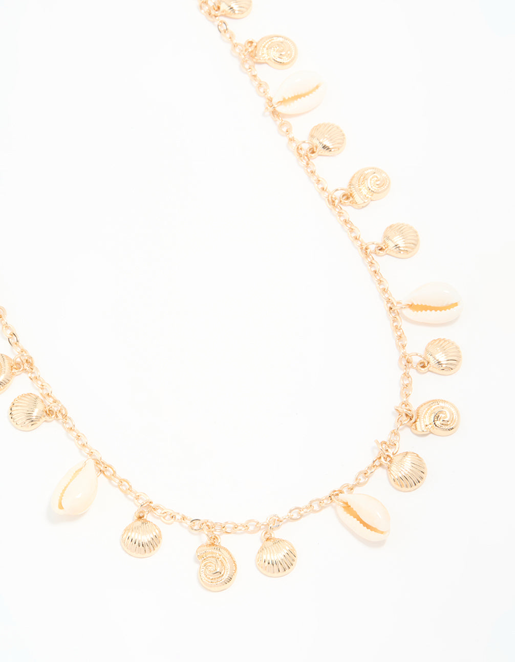 Genuine Shell & Gold Ribbed Shell Waist Chain