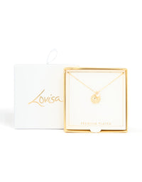 Gold Plated Cubic Zirconia & Star Disc Pendant Necklace - link has visual effect only