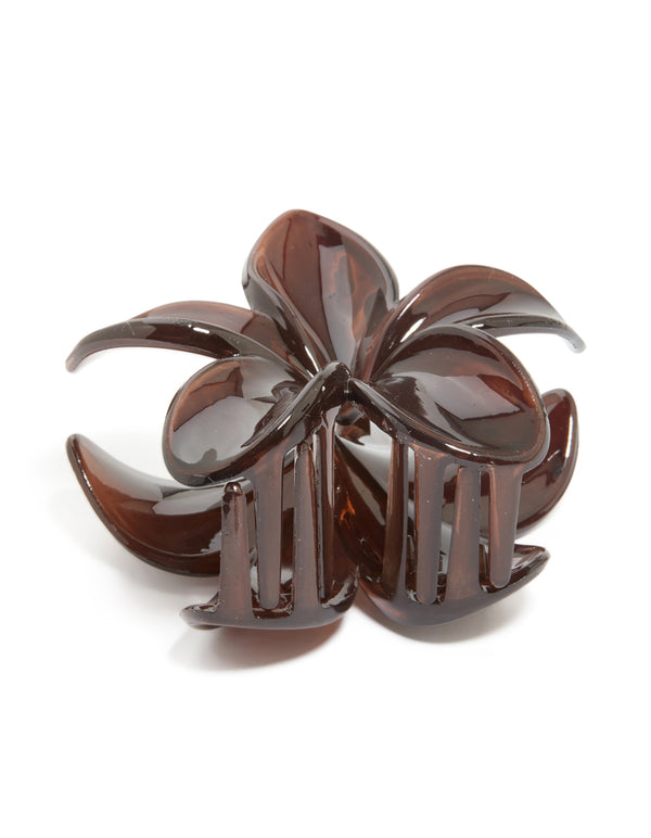 Brown Solid Claw Clip