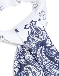White & Blue Deco Paisley Fabric Scarf - link has visual effect only