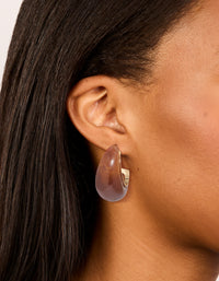Gold & Brown Resin Large Open Hoop Earrings - link has visual effect only