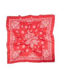 Elegant red paisley print fabric scarf features in white front view - link has visual effect only